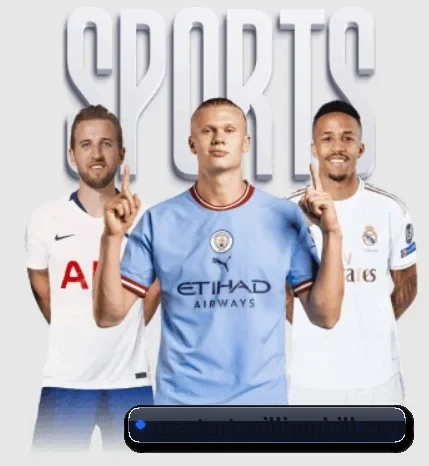 每个板块围绕一个运动项目展开(WilliamHill)