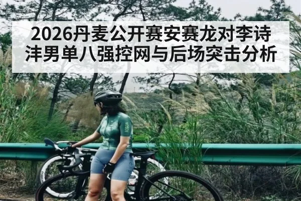 2026丹麦公开赛安赛龙对李诗沣男单八强控网与后场突击分析
